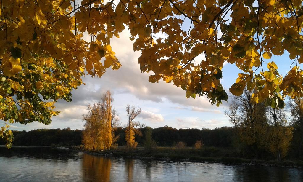 Ousson-sur-Loire La Chaumiere Bed & Breakfast エクステリア 写真
