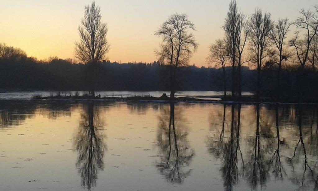 Ousson-sur-Loire La Chaumiere Bed & Breakfast エクステリア 写真
