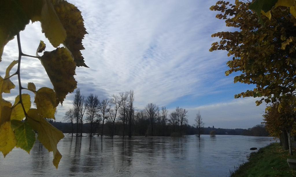 Ousson-sur-Loire La Chaumiere Bed & Breakfast エクステリア 写真