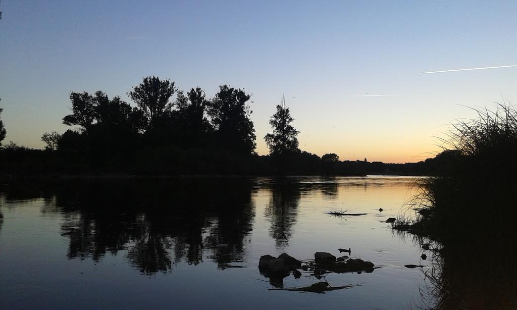 Ousson-sur-Loire La Chaumiere Bed & Breakfast エクステリア 写真