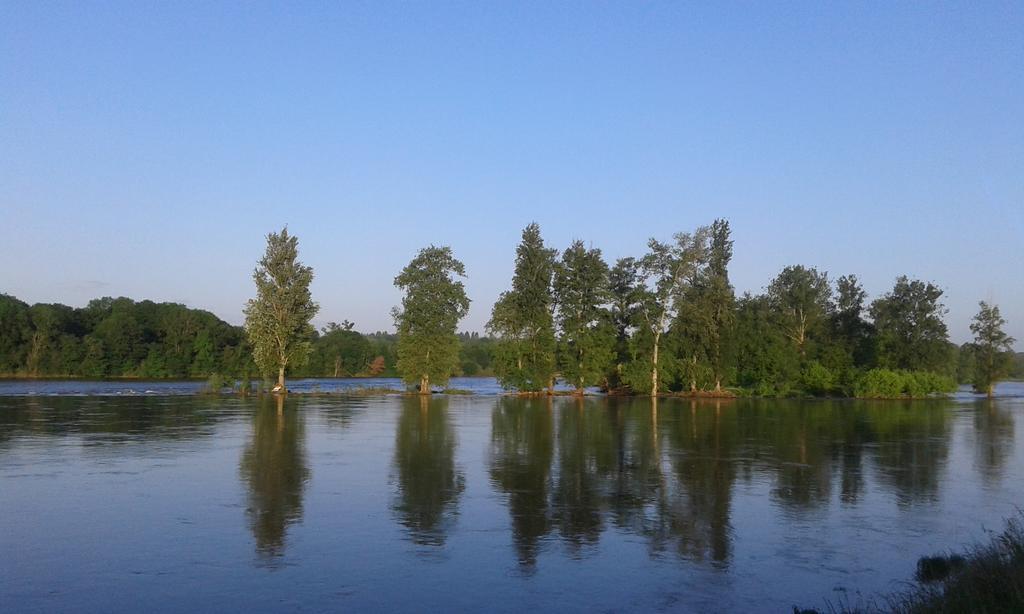 Ousson-sur-Loire La Chaumiere Bed & Breakfast エクステリア 写真