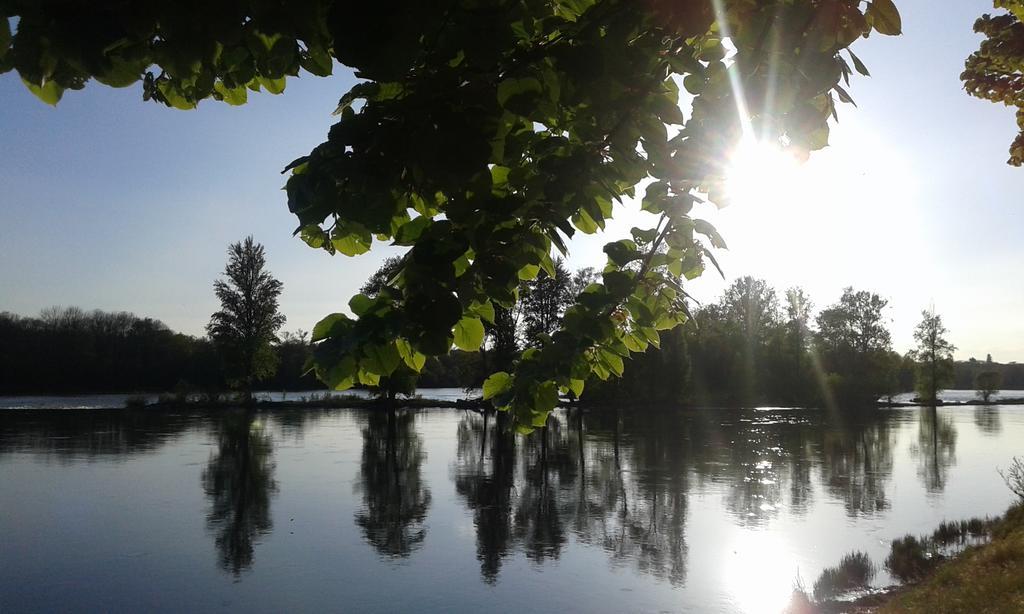 Ousson-sur-Loire La Chaumiere Bed & Breakfast エクステリア 写真