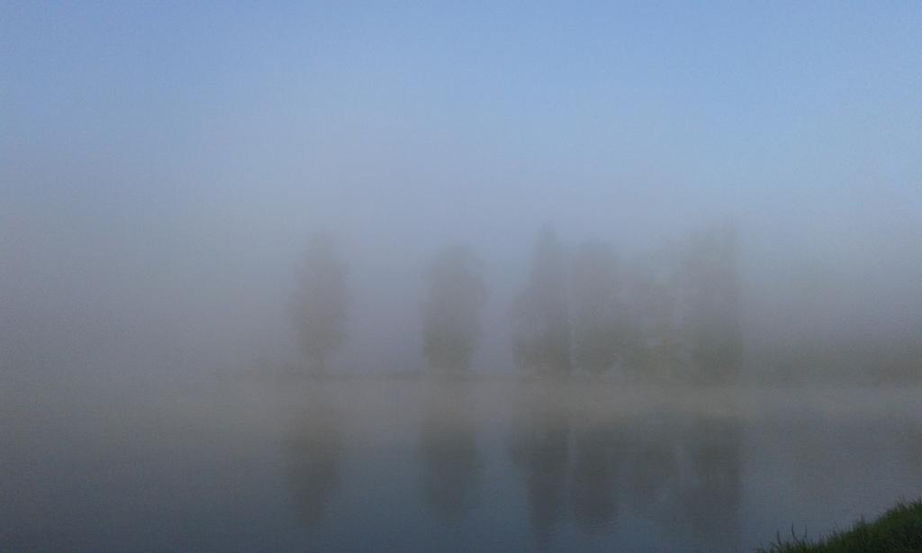 Ousson-sur-Loire La Chaumiere Bed & Breakfast エクステリア 写真