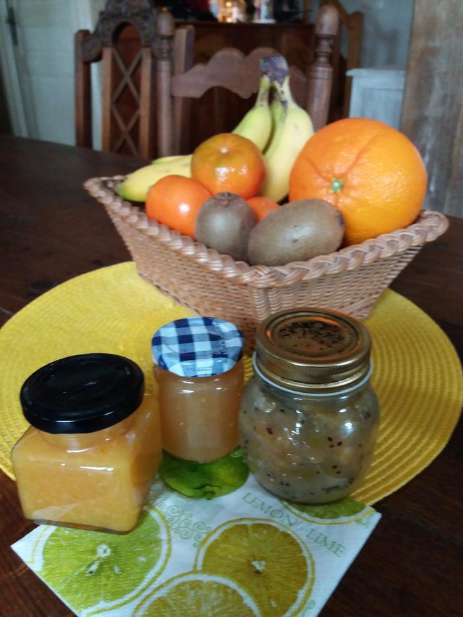 Ousson-sur-Loire La Chaumiere Bed & Breakfast エクステリア 写真